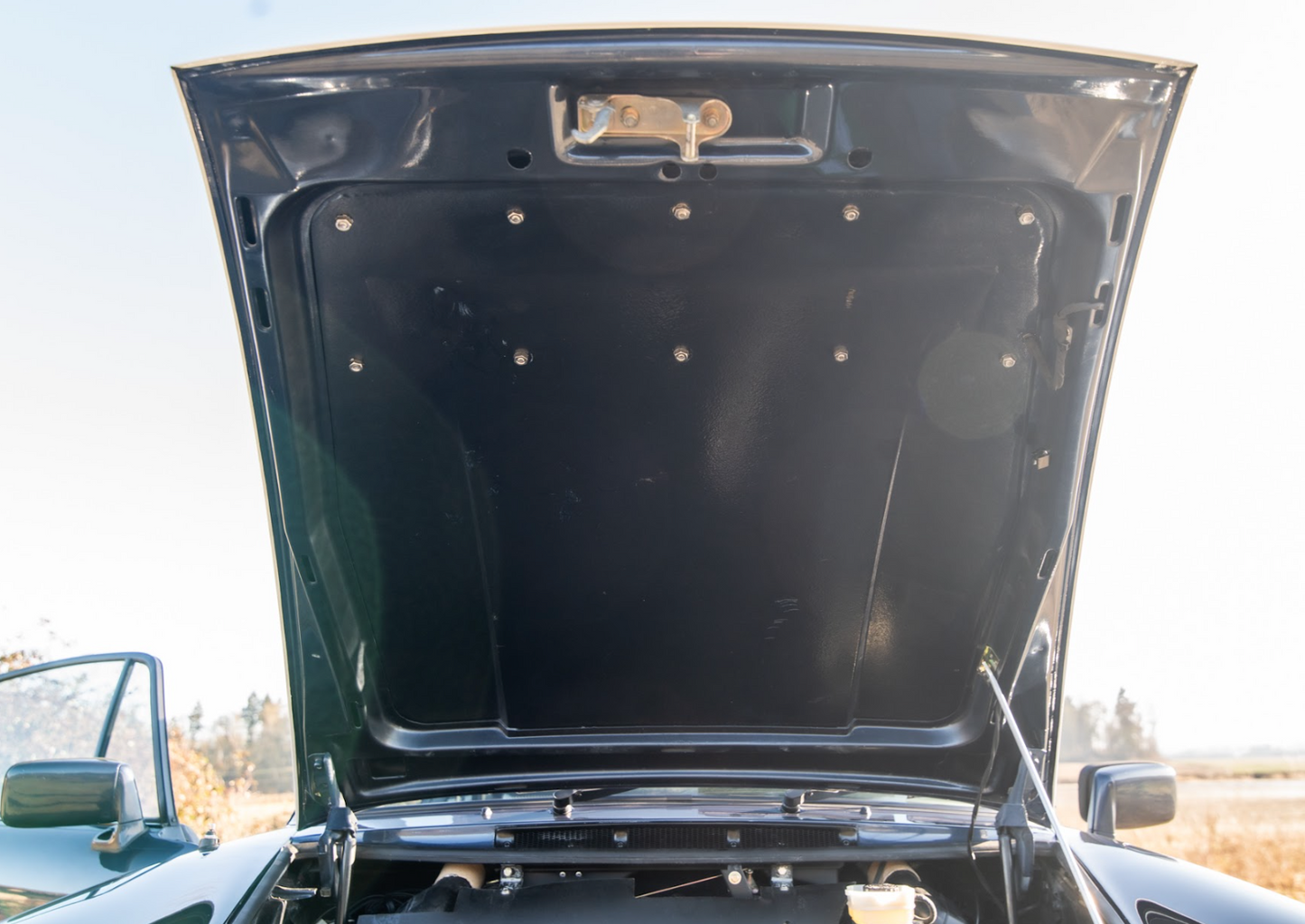 911 Safari Rallye Light Pod