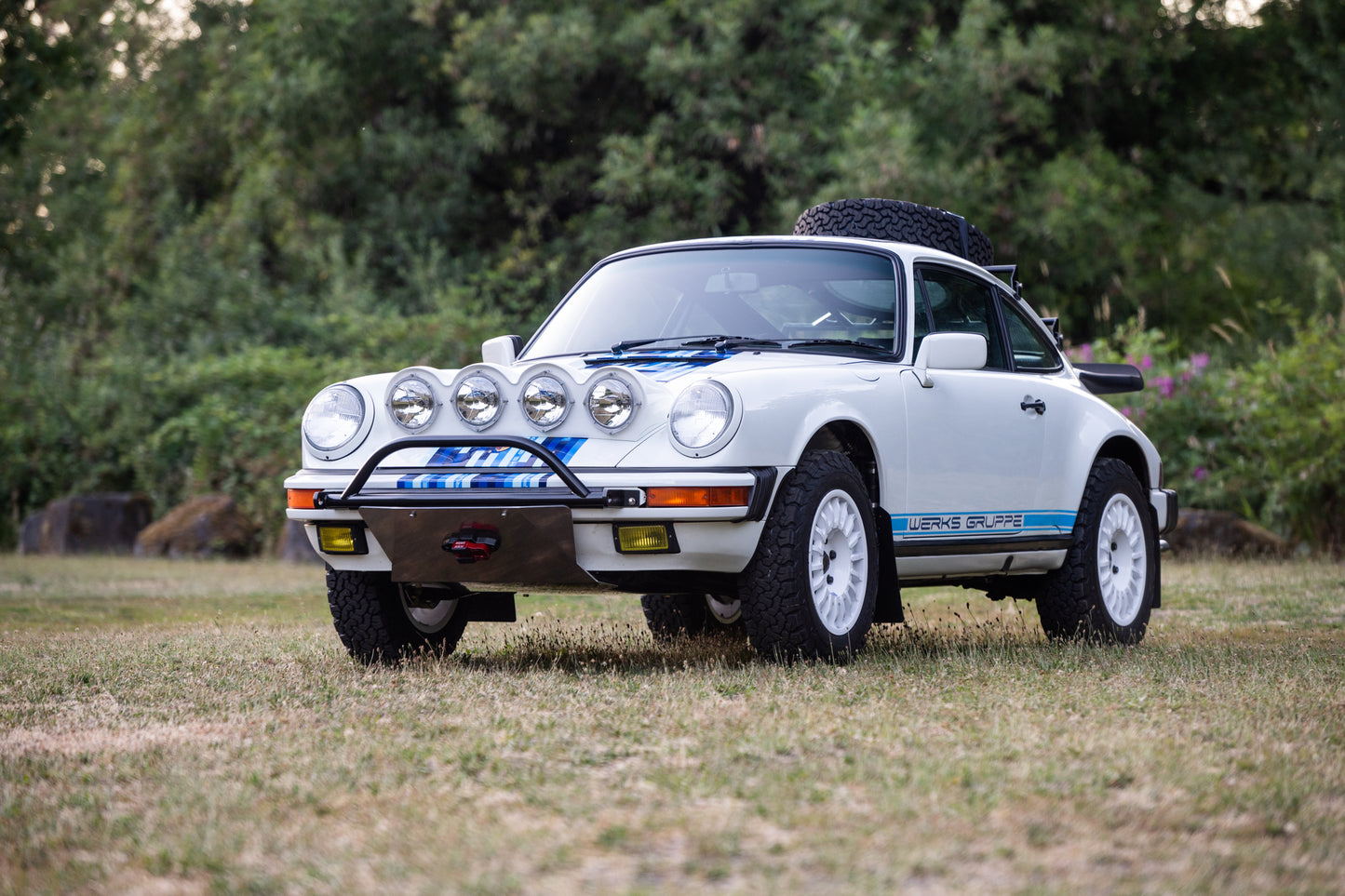 911 Safari Rallye Light Pod